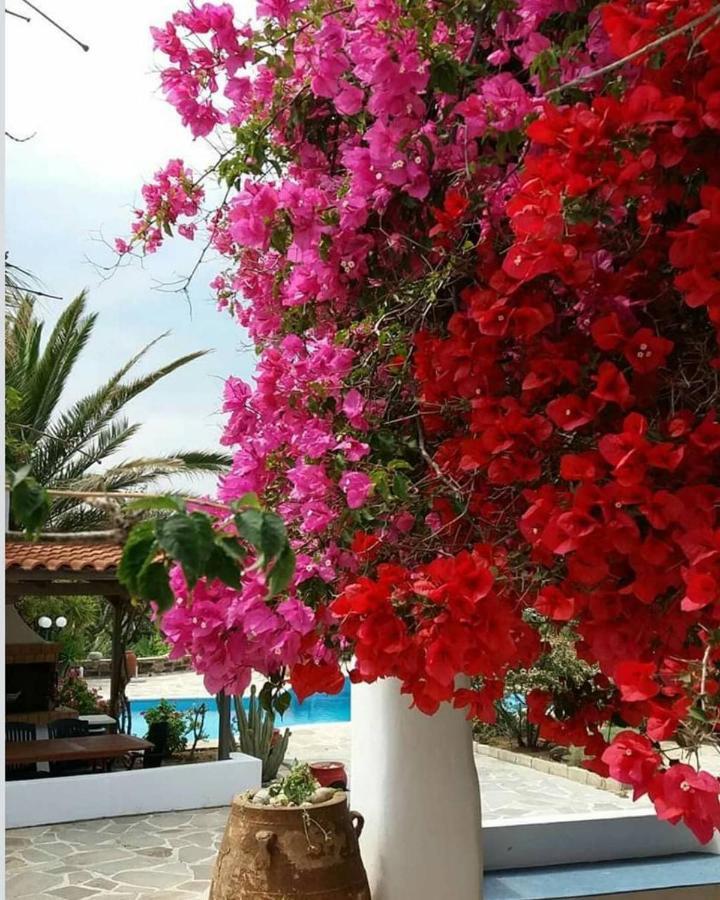Villa Pari Manda Agios Prokopios  Luaran gambar
